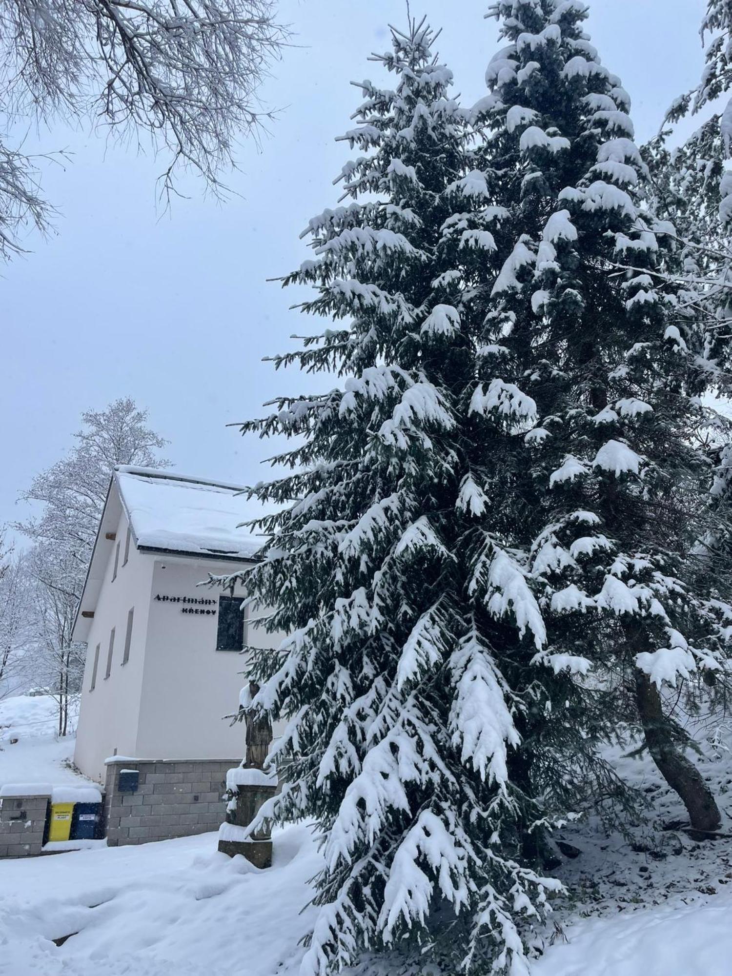 Apartmany Krenov Bernsdorf Exterior foto